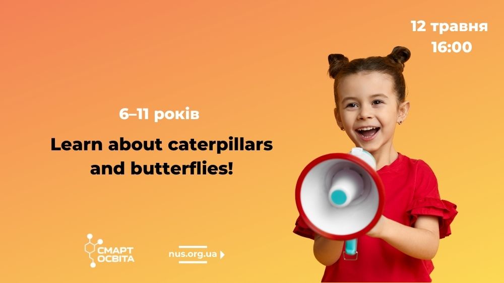 Learn about caterpillars and butterflies!