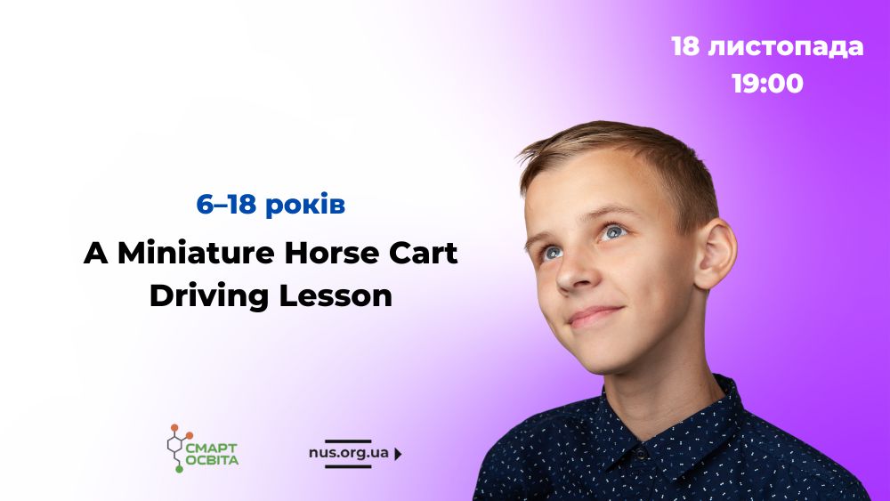 A Miniature Horse Cart Driving Lesson