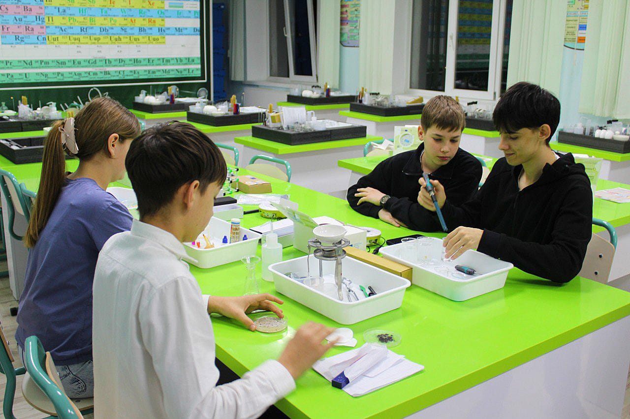 Возможно, это изображение учеба и текст